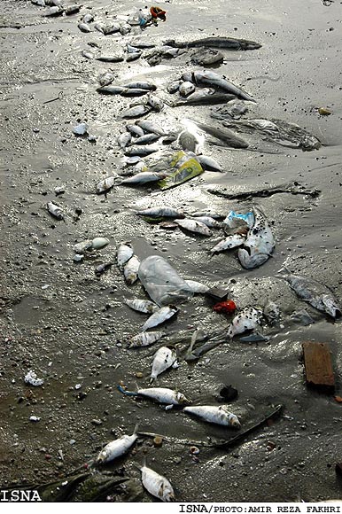 Mercury waste dumping in Mahshahr, Iran